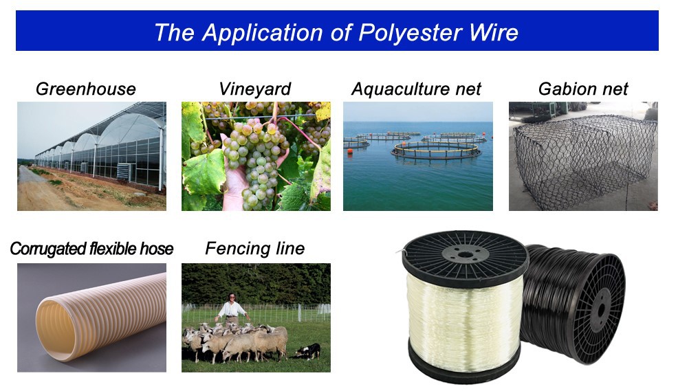 Application Application